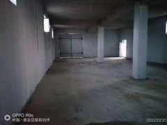 C10877厂房出租