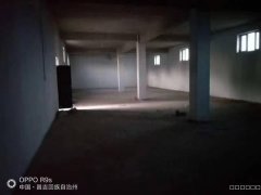 C10877厂房出租