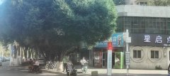 C11926昌吉北京北路好位置头铺直租无转让费