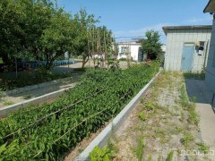 C12244位于呼图壁县五工台镇大泉路口附近农家院出租转让