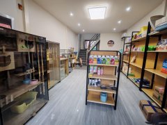 C12435天山区中湾街大型小区中天翡丽郡府43平宠物店转让