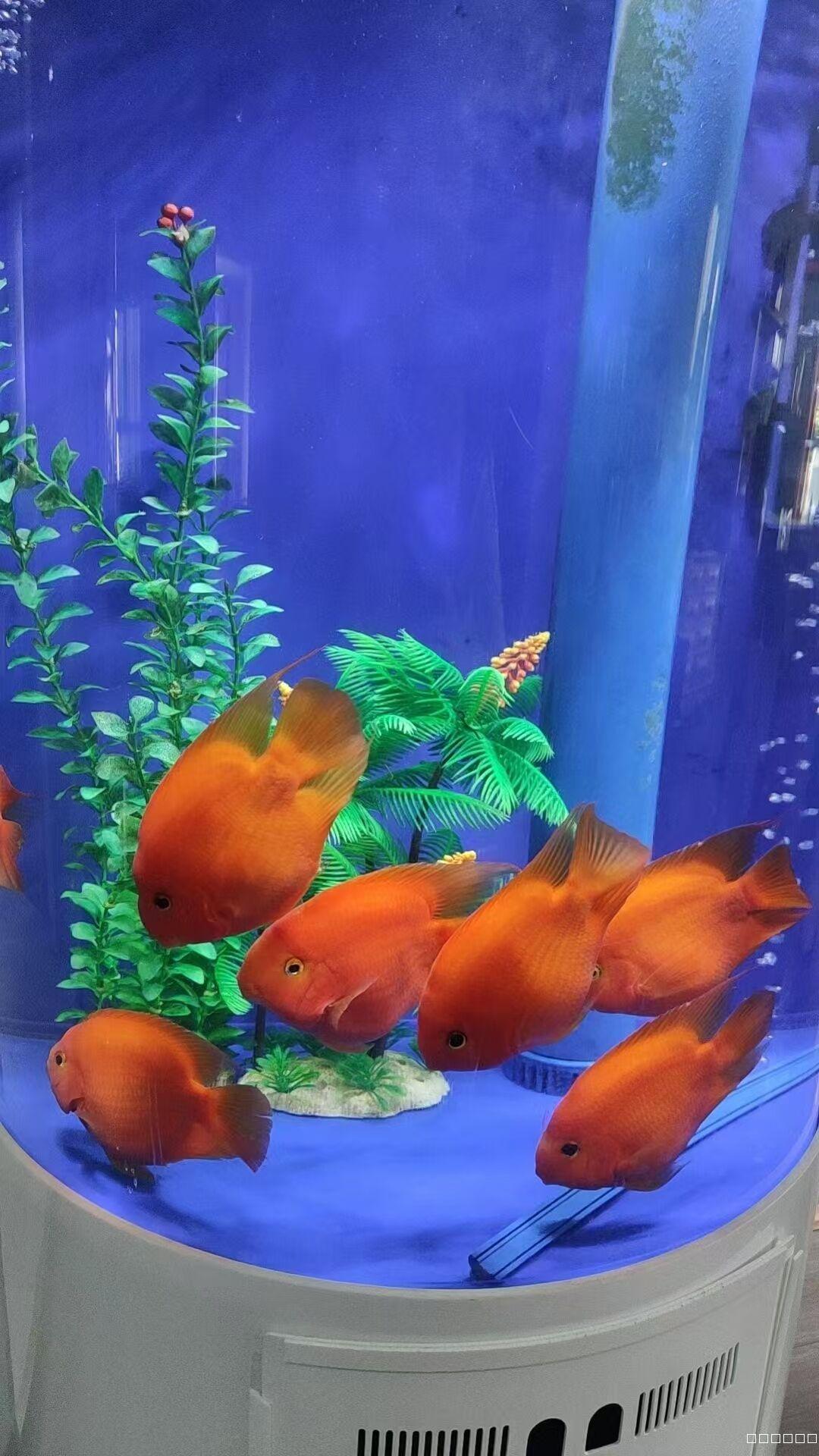 C12517昌吉8年美容老店带全套客源设备转让 C12517昌吉8年美容老店带全套客源设备转让