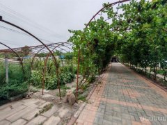 C12525米东区102团2连连部附近院落出售