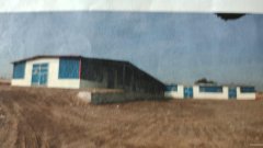 C12555昌吉市三工镇二工村厂房出租转让