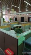 C12630位于喀什市康城国际商业步行街营业中餐厅转让