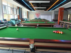 （成功案例）C12706位于五家渠市青湖骊城小区附近临街台球