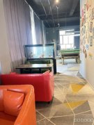 C12715位于昌吉世纪大道营业中台球俱乐部转让