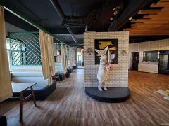 C12761阜康华星小区260平餐厅酒吧转让