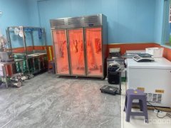 C12853位于昌吉大上海营业中羊肉店烧烤店转让