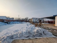 C13006阜康市五工梁西村1200平院落出售